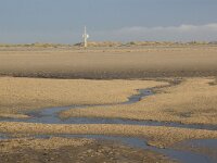 Electra pilosa 11, Harig mosdiertje, Saxifraga-Foto Fitis-Sytske Dijksen