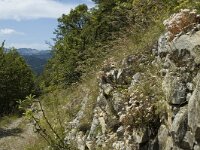 Parnassius apollo 11, Apollovlinder, habitat, F, Drome, Treschenu Creyers, Col de Menee, Saxifraga-Mariijke Verhagen