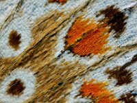 Polyommatus icarus 7, Icarusblauwtje, Saxifraga-Ab H Baas