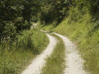 Pyrgus armoricanus 3, Bretons spikkeldikkopje, F, Isere, Miribel-Lanchatre, Saxifraga-Marijke Verhagen