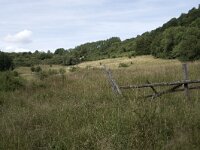 D, Rheinland-Pfalz, Birresborn 4, Saxifraga-Willem van Kruijsbergen