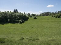 D, Rheinland-Pfalz, Gerolstein, Papenkaule 3, Saxifraga-Willem van Kruijsbergen