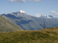 I, Valle d Aosta, La Thuile, Col du Petit Saint Bernard 7, Saxifraga-Jan van der Straaten