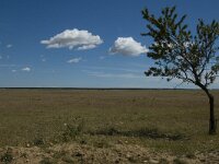 Steppe