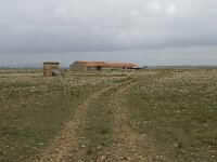 F, Bouches-du-Rhone, Saint-Martin-de-Crau, Peau de Meau 59, Saxifraga-Willem van Kruijsbergen