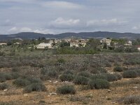 F, Vaucluse, Saint-Trinit 1, Saxifraga-Willem van Kruijsbergen