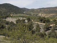 E, Granada, Albunuelas 6, Saxifraga-Willem van Kruijsbergen