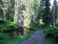 A, Salzburg, Rauris 2, Saxifraga-Foto Fitis-Sytske Dijksen