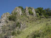 D, Rheinland-Pfalz, Gerolstein, Munterley 1, Saxifraga-Willem van Kruijsbergen