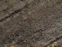 D, Rheinland-Pfalz, Gerolstein, Rockskyll 13, Saxifraga-Willem van Kruijsbergen