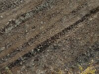 D, Rheinland-Pfalz, Gerolstein, Rockskyll 14, Saxifraga-Willem van Kruijsbergen