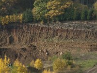 D, Rheinland-Pfalz, Gerolstein, Rockskyll 15, Saxifraga-Willem van Kruijsbergen