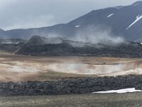 IS, Nordurland eystra, Nordurbing, Myvatn 1, Saxifraga-Peter Stein