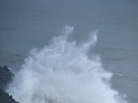 IS, Sudurland, Myrdalshreppur, Dyrholaey 3, Saxifraga-Dick Hoogenboom.tif