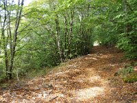 NMK, Ohrid, Galicica, Elsani 2, Saxifraga-Foto Fitis-Sytske Dijksen