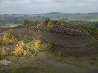 D, Rheinland-Pfalz, Gerolstein, Rockskyll 30, Saxifraga-Willem van Kruijsbergen