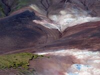 IS, Nordurland eystra, Nordurbing, Peistareykir 5, Saxifraga-Dick, Hoogenboom