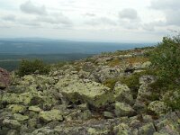 S, Dalarna, Sarna, National Park Fulufjallet, Buntsandstein 5, Saxifraga-Willem van Kruijsbergen