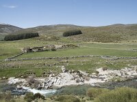 E, Avila, San Juan de Gredos, Rio Barbellido 18, Saxifraga-Willem van Kruijsbergen