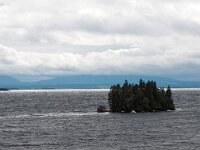 S, Jamtlands lan, Ostersund, Ostersund 1, Saxifraga-Hans Dekker