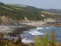 GB, Cornwall, Truro, SW Coastpath, Head Portscathoe 1, Saxifraga-Foto Fitis-Sytske Dijksen