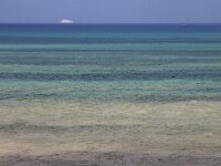 F, Pas-de-Calais, Wissant 33, Saxifraga-Foto Fitis-Sytske Dijksen