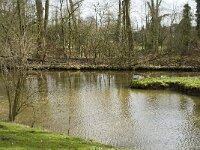 NL, Noord-Brabant, Eindhoven, Dommel and Tongelreep 1, Saxifraga-Marijke Verhagen