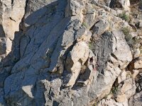 E, Toledo, Toledo, Rio Tajo 12, Saxifraga-Tom Heijnen