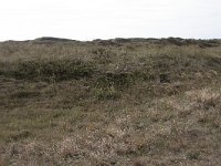 130-589, Z, 2013-10-06, NL-Tiny de Krom, 53.291617 NB-05.019668 OL, Vlieland