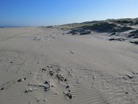 131-590, O, 2018-10-10, NL-Peter Vlamings, 131503-590498, Vlieland