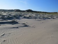 131-590, Z, 2018-10-10, NL-Peter Vlamings, 131503-590498, Vlieland