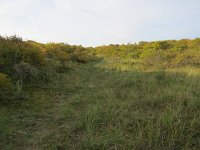 135-590, Z, 2018-10-8, NL-Peter Vlamings, 135487-590502, Vlieland