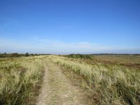 142-597, Terschelling