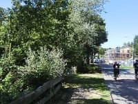 143-597, Terschelling