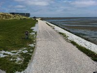 144-597, O, 15-07-2011, NL-Cor Bakker, 53.365886 NB-5.228627 OL, Terschelling