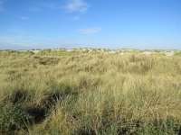 145-601, Terschelling