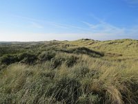 145-601, W, 2016-10-16, NL-Peter Vlamings, 145498-601534, Terschelling