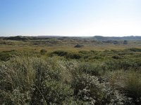 145-601, Z, 2016-10-16, NL-Peter Vlamings, 145498-601534, Terschelling