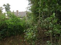 148-600, Terschelling