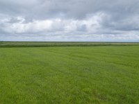 151-600, Terschelling