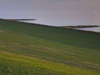 154-542, NL, Friesland, Sudwest Fryslan, Reade Klif, Saxifraga-Annemarie Hoogwoud02