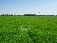 155-543, O, 2018-05-15, NL-Hans Farjon, 52.87864 NB-5.394633 OL, Zuidwest-Friesland  155-543, O, 2018-05-15, NL-Hans Farjon,  52.87864 NB-5.394633 OL, Súdwest-Fryslân