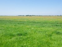 155-543, W, 2018-05-15, NL-Hans Farjon, 52.87864 NB-5.394633 OL, Zuidwest-Friesland  155-543, W, 2018-05-15, NL-Hans Farjon,  52.87864 NB-5.394633 OL, Súdwest-Fryslân