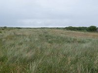 155-602, O, 2016-06-18, NL-Hans Farjon,  53.408805 NB-5.394727 OL, Terschelling  154-601, N, 2016-06-18, NL-Hans Farjon,  53.408805 NB-5.394727 OL, Terschelling