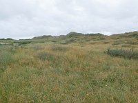 155-602, W, 2016-06-18, NL-Hans Farjon,  53.408805 NB-5.394727 OL, Terschelling  154-601, N, 2016-06-18, NL-Hans Farjon,  53.408805 NB-5.394727 OL, Terschelling