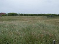 155-602, Z, 2016-06-18, NL-Hans Farjon,  53.408805 NB-5.394727 OL, Terschelling  154-601, N, 2016-06-18, NL-Hans Farjon,  53.408805 NB-5.394727 OL, Terschelling