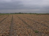 156-561, Sudwest-Fryslan