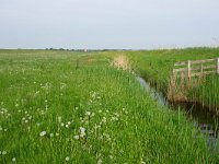 158-540, O, 2018-05-12, NL-Hans Farjon, 52.853664 NB-5.438934 OL, Zuidwest-Friesland  158-540, O, 2018-05-12, NL-Hans Farjon, 52.853664 NB-5.438934 OL, Súdwest-Fryslân