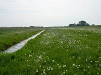 158-540, W, 2018-05-12, NL-Hans Farjon, 52.853664 NB-5.438934 OL, Zuidwest-Friesland  158-540, W, 2018-05-12, NL-Hans Farjon, 52.853664 NB-5.438934 OL, Súdwest-Fryslân