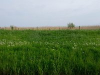 158-540, Z, 2018-05-12, NL-Hans Farjon, 52.853664 NB-5.438934 OL, Zuidwest-Friesland  158-540, Z, 2018-05-12, NL-Hans Farjon, 52.853664 NB-5.438934 OL, Súdwest-Fryslân